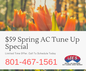 $59 Spring AC Tune Up Special.